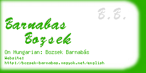 barnabas bozsek business card